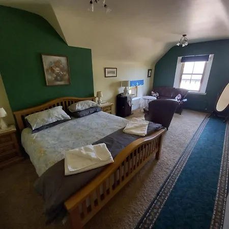 Chestnut Leitrim * Manorhamilton