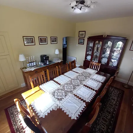 Chestnut Leitrim Manorhamilton