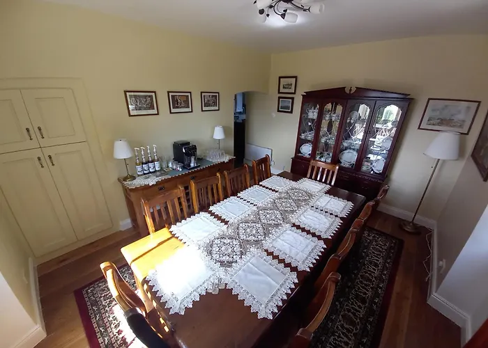 Chestnut Leitrim Manorhamilton